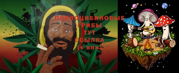 ПСИЛОЦИБИНОВЫЕ ГРИБЫ Балабаново
